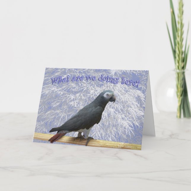 Flying South Holiday Card (Front)