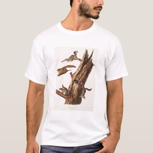 Flying Squirrel Camping Gear Deco Gifts T_Shirt