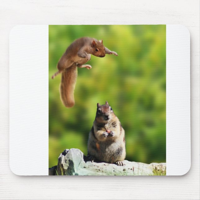 Flying squirrel mouse pad (Front)