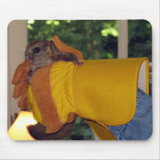 Flying Squirrel Mouse Pad