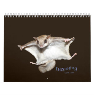 Flying Squirrels Calendar