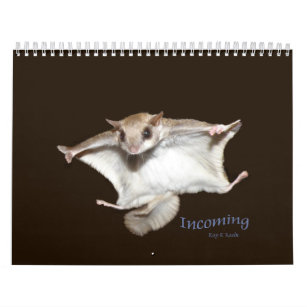 Flying Squirrels Calendar