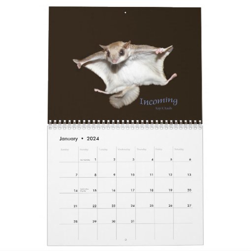 Flying Squirrels Calendar | Zazzle