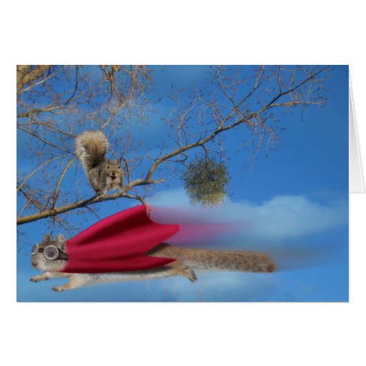Flying Super Squirrel Cards (Front Horizontal)