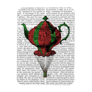 Flying Teapot 2 Red and Green Magnet