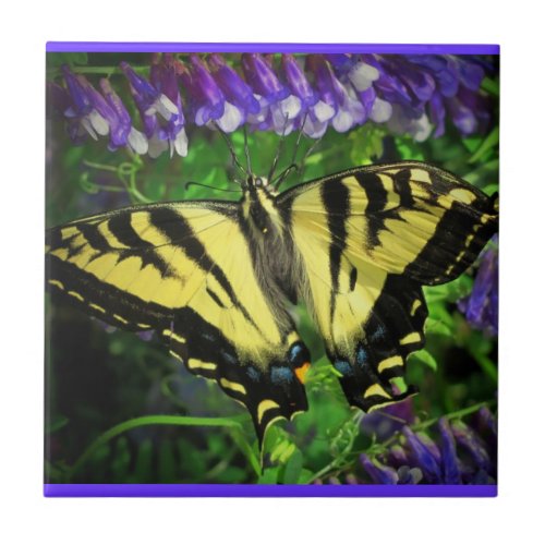 Flying Tiger Butterfly Ceramic Tile