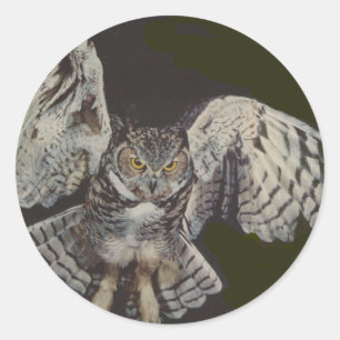 Flying Tiger Owl Classic Round Sticker