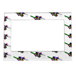 Flying tortoise magnetic frame