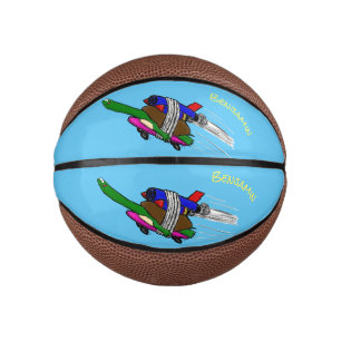 Flying tortoise mini basketball