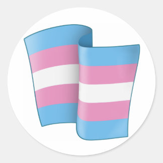 Flying Trans Pride Round Sticker
