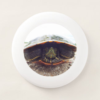 Flying turtle frisbee
