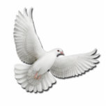 Flying White Dove Pin Statuette<br><div class="desc">Original fine art design of a flying peace dove by artist Carolyn McFann of Two Purring Cats Studio printed on a quality acrylic pin.</div>