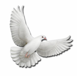 Flying White Dove Pin Statuette