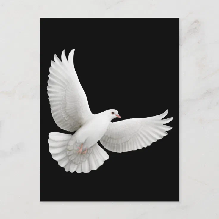 white dove flying drawing