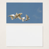 Flying white doves (Front & Back)