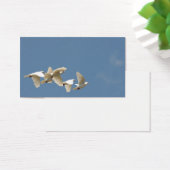 Flying white doves (Desk)