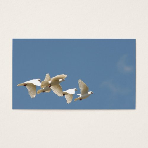 Flying white doves business cards