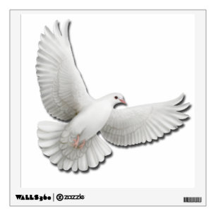 Flying White Turtle Dove Wall Decal