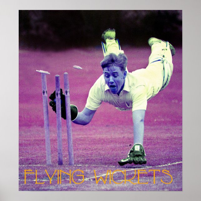 Flying Wickets Poster (Front)