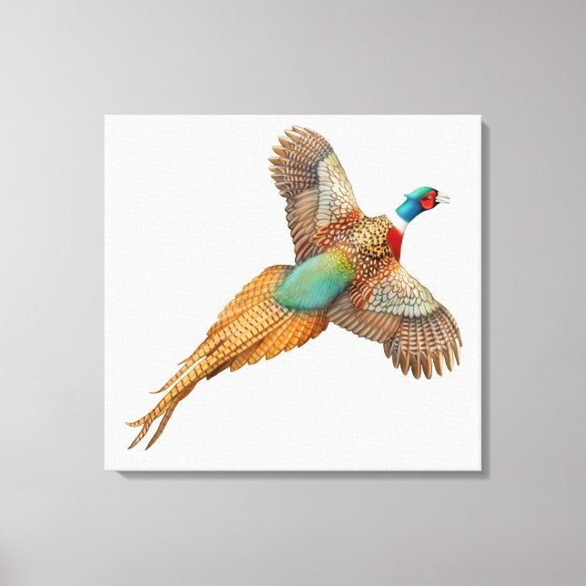 Flying Wild Ringneck Pheasant Wrapped Canvas Print (Front)