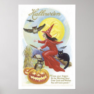 Flying Witch, Bats, Cat, Owl Moon Poster