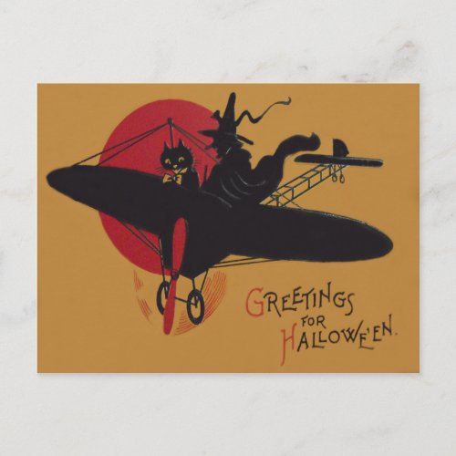 Flying Witch Black Cat Airplane Full Moon Postcard