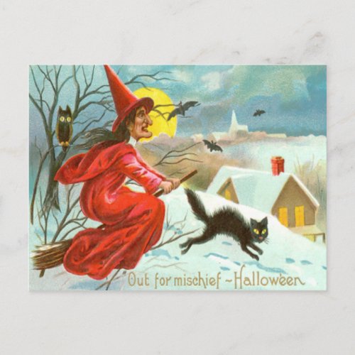 Flying Witch Black Cat Owl Bat Snow Postcard