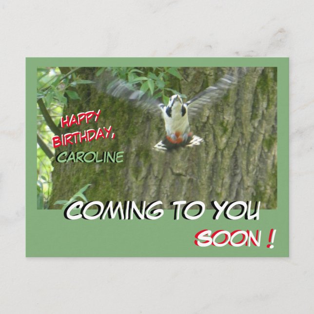 Flying Woodpecker Coming to You Birthday Postcard (Front)
