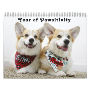 Flynn & Mugen's Year of Pawsitivity Calendar