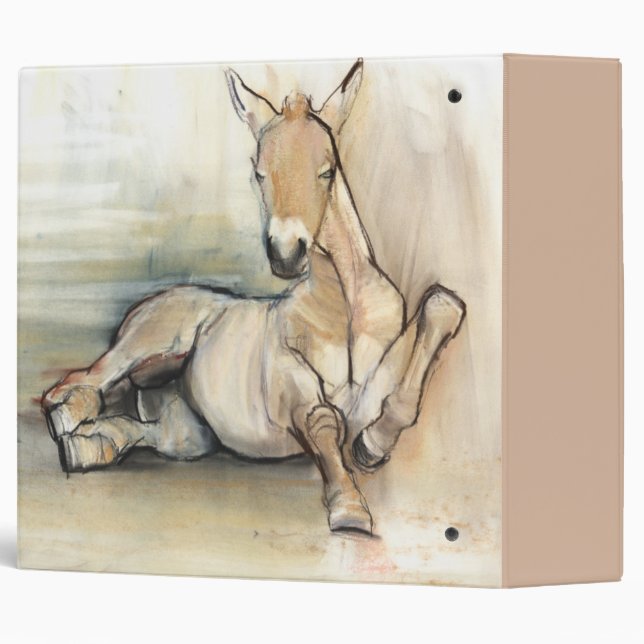 Foal 2012 3 ring binder (Back/Spine)