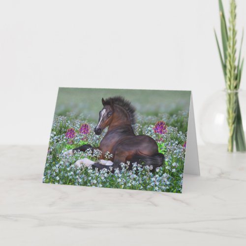 Foal and Flowers Blank Greeting Card