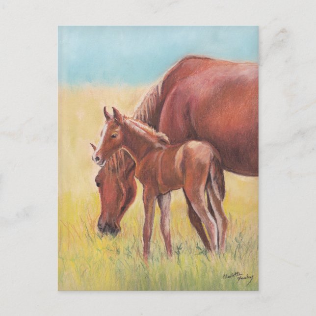 Foal and Mare Horse Art Postcard (Front)