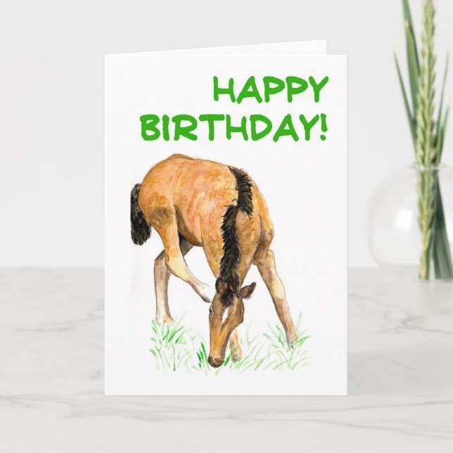 'Foal' Birthday Card (Front)