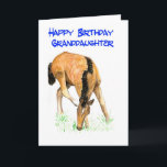 'Foal' Birthday Card for Granddaughter<br><div class="desc">Birthday Card is the big one with a foal design on the front,  from a watercolor painting by Judy Adamson. Happy Birthday inside. See also matching gifts and apparel.</div>