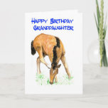 'Foal' Birthday Card for Granddaughter<br><div class="desc">Birthday Card is the big one with a foal design on the front,  from a watercolor painting by Judy Adamson. Happy Birthday inside. See also matching gifts and apparel.</div>