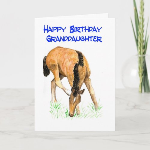 Foal Birthday Card for Granddaughter
