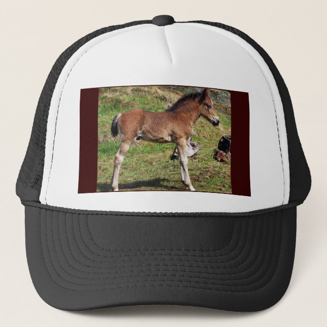 Foal black Hat (Front)