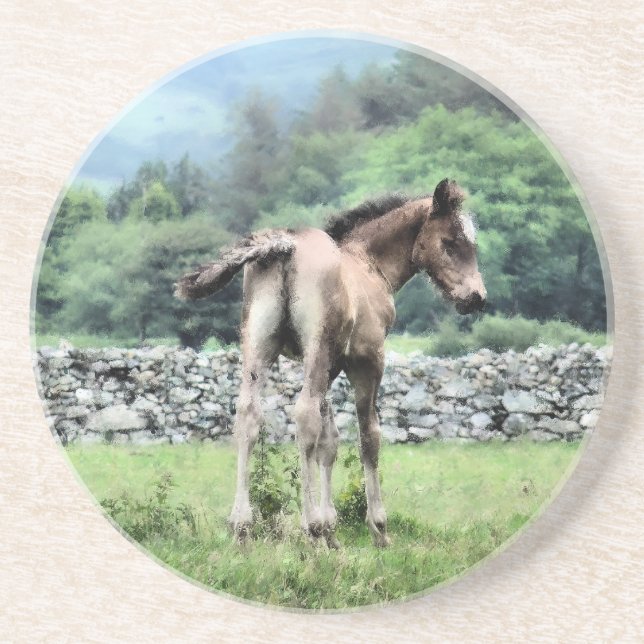 FOAL DRINK COASTER (Front)