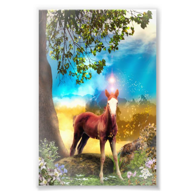 Foal Horse ENCHANTED FOREST Photo Print (Front)