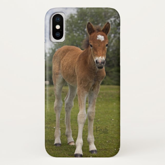 Foal iPhone X Case (Back)