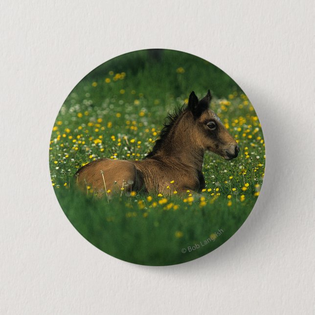 Foal Laying Down in Flowers Button (Front)