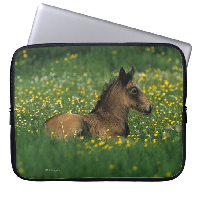 Foal Laying Down in Flowers Laptop Sleeve (Front)