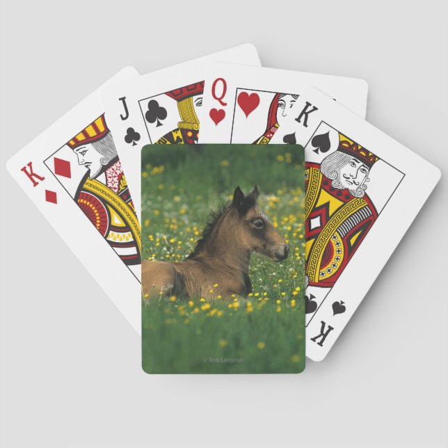 Foal Laying Down in Flowers Poker Cards (Back)