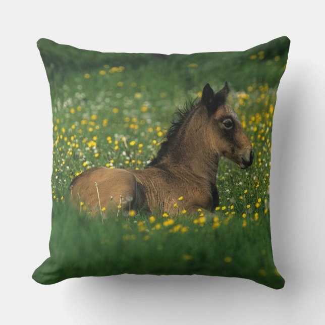 Foal Laying Down in Flowers Throw Pillow (Front)