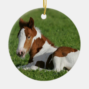 Foal Laying in Grass Ceramic Ornament