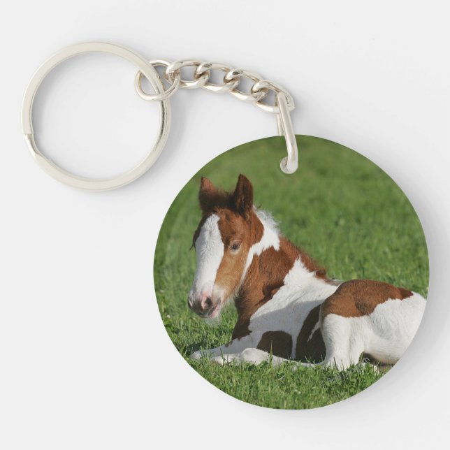Foal Laying in Grass Keychain (Front)