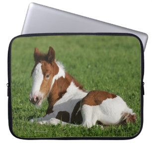 Foal Laying in Grass Laptop Sleeve