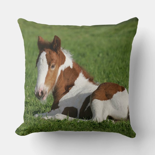 Foal Laying in Grass Throw Pillow (Front)