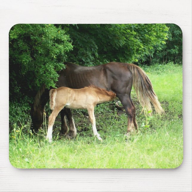 Foal Mousepad (Front)