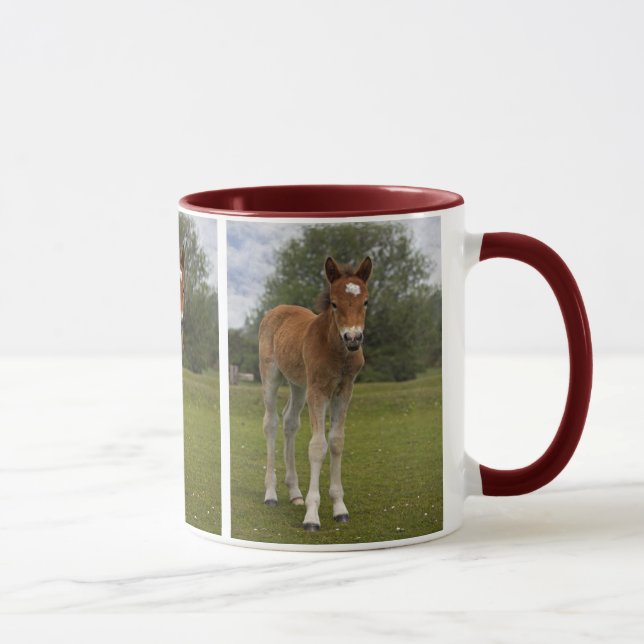 Foal Mug (Right)